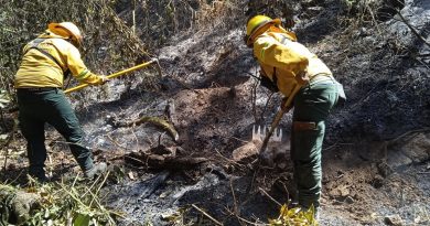 Liquida Coesfo incendio forestal en la agencia de Asunción Mixtepec