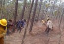 Continúa atención a incendio forestal en la zona Chontal