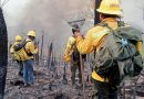 Continúa combate de incendio forestal en la región Mixteca