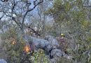 Controlado al 100% incendio forestal de Tepelmeme Villa de Morelos