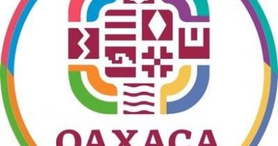 Lamenta Gobierno de Oaxaca deceso de persona en incendio de San Pedro Cafetitlán