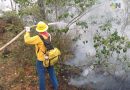 Gobierno estatal informa situación de incendios activos en territorio veracruzano