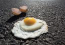 Ola de calor: sin fuego y a más de 50 grados, así se coció un huevo en calles de Veracruz