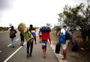 Rescatan a más de 400 migrantes abandonados en Veracruz