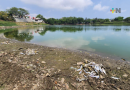 Van 10 lagunas secas en municipio de Veracruz por estiaje: PMA