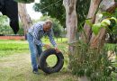 Reporta SSO una disminución del 94.53% en casos de dengue en lo que va de 2025