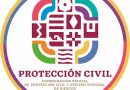 Llama Protección Civil a actuar con responsabilidad y extremar precauciones ante la presencia de abejas