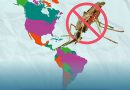 Conmemora SSO Día Mundial del Paludismo en las Américas 2025