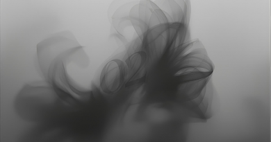 VIVIR EN LA INCERTIDUMBRE