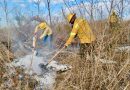 Mantiene Coesfo atención a incendios forestales y de pastizales en las ocho regiones de Oaxaca
