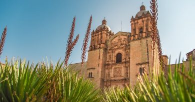<strong>Oaxaca mostrará su riqueza en el Tianguis Turístico México 2023 en la CDMX</strong>