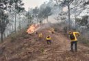 Refuerzan trabajos de combate en incendio de la Sierra Sur