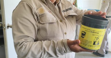 Continúa Tuxtepec con vigilancia entomológica en el combate contra el dengue