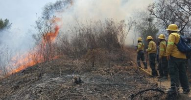 Controla Coesfo incendio forestal en la Sierra de Juárez