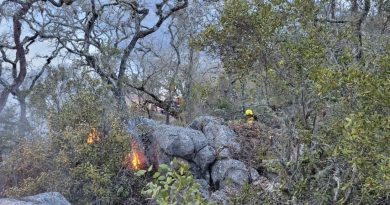 Controlado al 100% incendio forestal de Tepelmeme Villa de Morelos