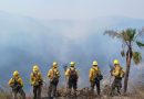 Reporta Coesfo 10 incendios forestales activos en la entidad