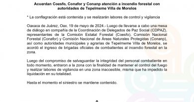 Acuerdan Coesfo, Conafor y Conanp atención a incendio forestal con autoridades de Tepelmeme Villa de Morelos