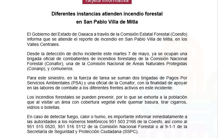 Diferentes instancias atienden incendio forestal en San Pablo Villa de Mitla