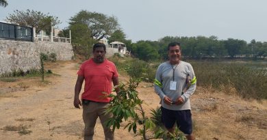 Continúa la reforestación en lagunas El Ensueño y El Encanto de Veracruz