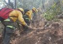 Se refuerzan acciones de vigilancia y combate en incendios forestales: Carlos Juárez