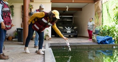 Gran participación en el Mega Tequio Bienestar Oaxaca Unida Contra el Dengue