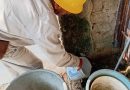 Llama SSO a reforzar la prevención contra el dengue