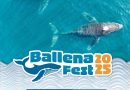 Invita Sectur Oaxaca al Ballena Fest 2025 en Puerto Ángel