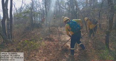 Atiende Coesfo incendio forestal en Santo Domingo Tehuantepec