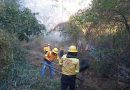 Coordina Gobierno de Oaxaca acciones de atención ante incendios forestales activos en el Istmo