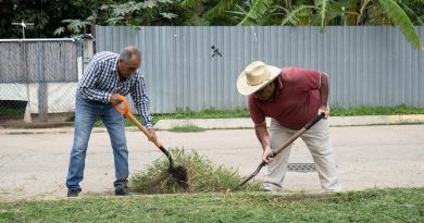 Cierra Oaxaca el año con una reducción del