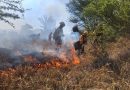 Atiende Coesfo incendio intermunicipal registrado en Soledad Etla y Reyes Etla
