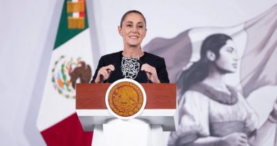 HOMICIDIOS DOLOSOS DISMINUYERON 42% DE SEPTIEMBRE DE 2024 A ENERO DE 2026; REPRESENTAN 36 HOMICIDIOS DIARIOS MENOS: PRESIDENTA CLAUDIA SHEINBAUM