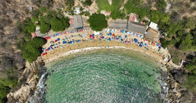 Primer fin de semana largo del año genera derrama de 273 mdp: Sectur Oaxaca