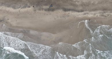 Alvarado recibe temporada vacacional con playas en condiciones óptimas