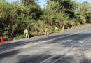 REALIZA SICT LABORES DE CONSERVACIÓN EN CARRETERAS DE VERACRUZ CON DOS TRENES DE PAVIMENTACIÓN