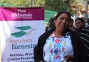 Con una inversión de 5 millones de pesos, se otorgaron 500 créditos a mujeres michoacanas