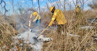 Mantiene Coesfo atención a incendios forestales y de pastizales en las ocho regiones de Oaxaca