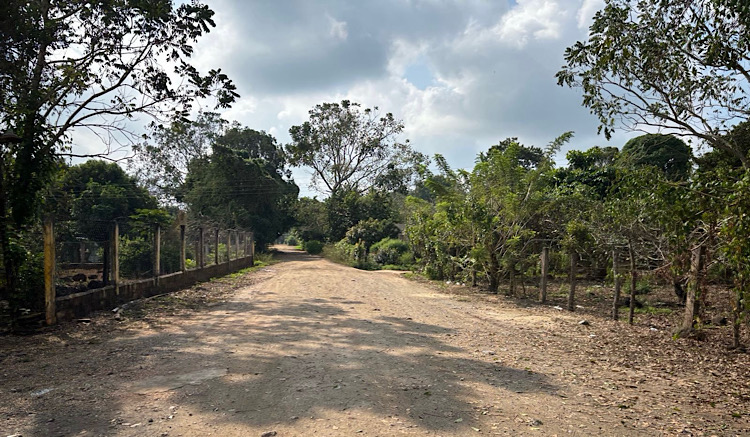 INICIARÁ SICT CONSTRUCCIÓN DE CAMINO ARTESANAL EN LA SIERRA DE SOTEAPAN