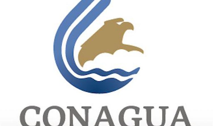 Conagua atiende contingencia por la mortandad de peces en la zona sur de Tamaulipas y norte de Veracruz