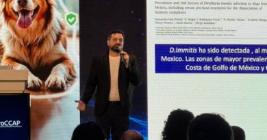 Especialistas internacionales llegan a México para abordar las brechas de vacunación y desparasitación en mascotas
