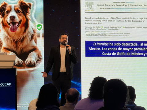 Especialistas internacionales llegan a México para abordar las brechas de vacunación y desparasitación en mascotas