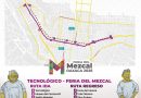 Brinda BinniBus servicio gratuito a la Feria del Mezcal