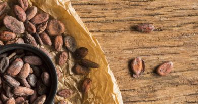 TrendseteraCelebra el Día Mundial del Cacao con un nuevo ritual: tres formas de disfrutar este ingrediente de la mano de Silk