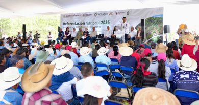Reiteran Gobiernos de Oaxaca y México compromiso para fortalecer acciones de reforestación en Oaxaca