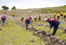 Vida y esperanza con la Primera Jornada de Mega Tequio de Reforestación en la zona chocho-mixteca