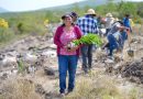 Siembra Oaxaca 12 mil plantas en Teotongo como parte de la Jornada Nacional de Reforestación 2026