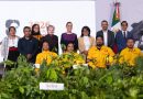 PRESIDENTA CLAUDIA SHEINBAUM PRESENTA LA JORNADA NACIONAL DE REFORESTACIÓN 2026; SE REALIZARÁ EL PRÓXIMO DOMINGO 9 DE AGOSTO Y SE PLANTARÁN 6.6 MILLONES DE ÁRBOLES Y PLANTAS
