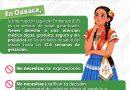 Garantiza Secretaría de las Mujeres información y acompañamiento seguro sobre ILE