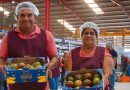 Paz y gobernabilidad en Oaxaca abren puerta al mercado internacional a través de Concamin