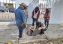 Rehabilitan Ceabien y Soapa red de drenaje sanitario en calzada Niños Héroes de Chapultepec, en la capital